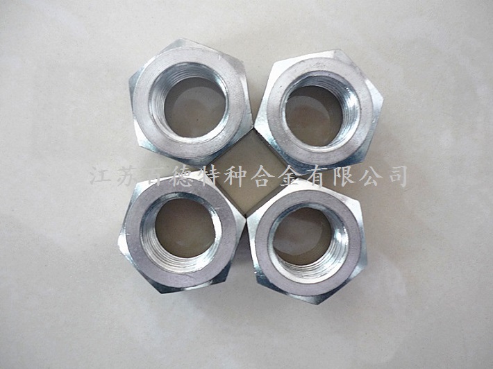 耐蝕合金ALLOY20螺母